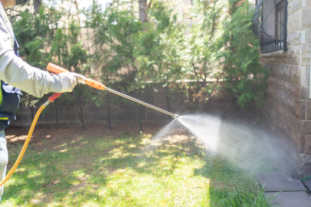 Professional Pest Control in Rossford, OH